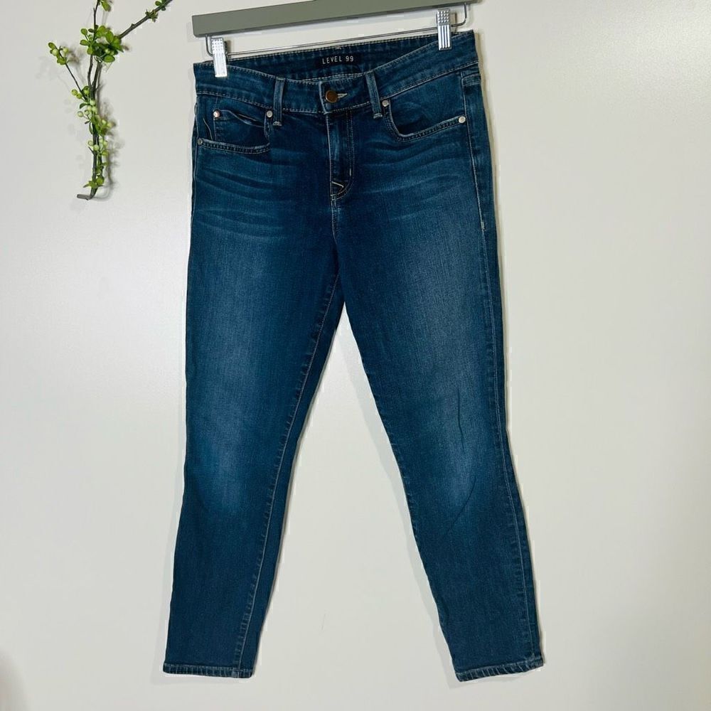 Level 99 Skinny Straight Ankle Jeans